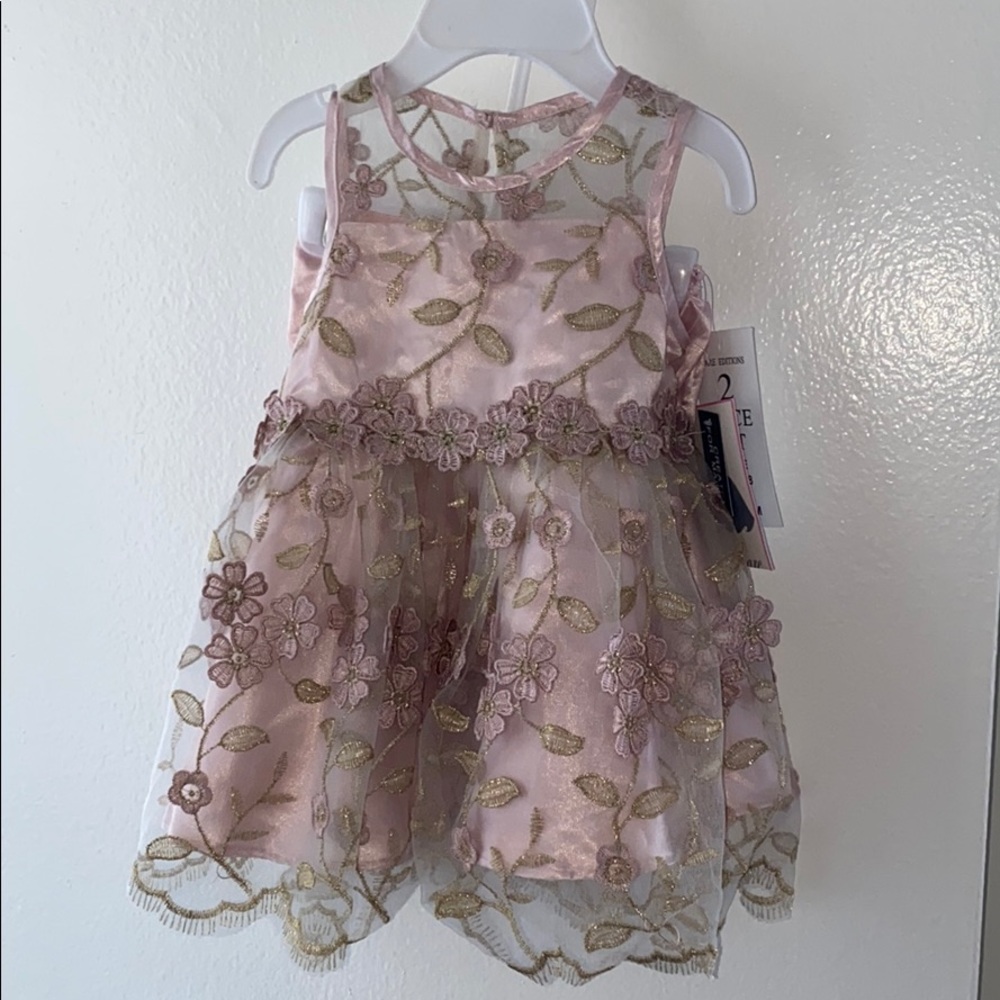 NWT Formal 6-9 month baby girl dress!